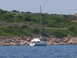 bild 239